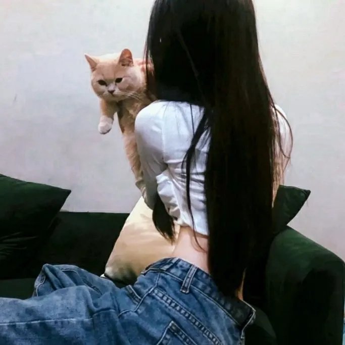 飞奔的高卓人